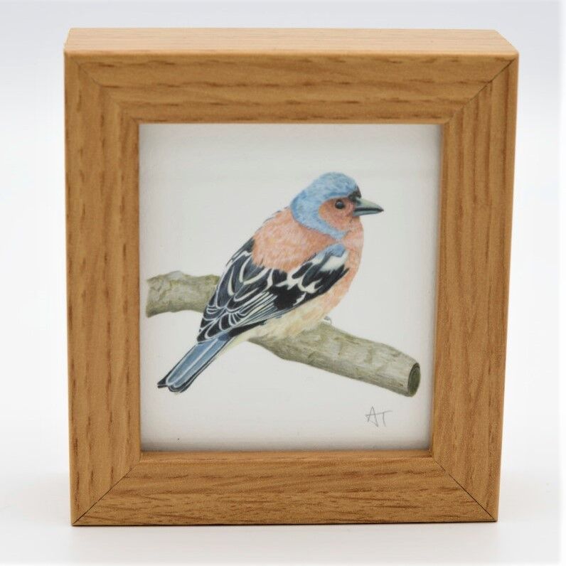 Buchfink Miniaturdruck – Kastenrahmen – Miniaturkunst – Sammlerstück, 10,5 cm H x 9,5 cm B, mit einer Tiefe von 3,5 cm
