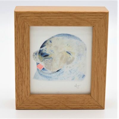 Seal Miniature Print - Box Frame - miniature art - whimsical - collectible , 10.5cm h x 9.5cm w, with a 3.5cm depth