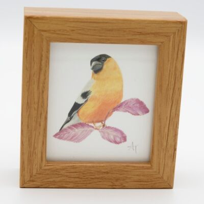 Bullfinch Miniature Print - Box Frame - miniature art - collectible , 10.5cm h x 9.5cm w, with a 3.5cm depth
