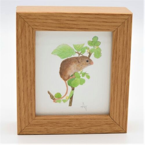 Harvest Mouse Miniature Print - Box Frame - miniature art - whimsical - collectible , 10.5cm h x 9.5cm w, with a 3.5cm depth