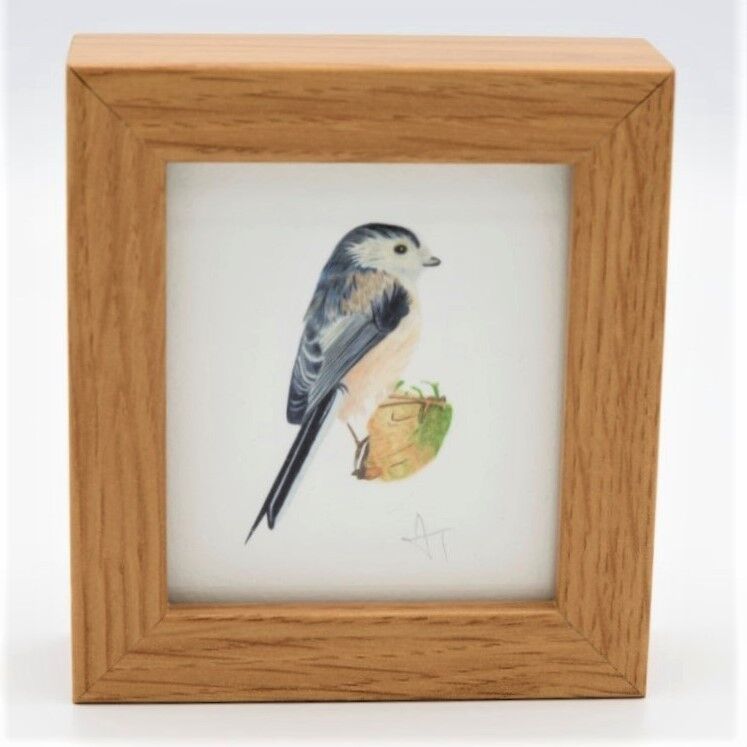 Langschwanzmeise Miniaturdruck – Kastenrahmen – Miniaturkunst – Sammlerstück, 10,5 cm H x 9,5 cm B, mit einer Tiefe von 3,5 cm