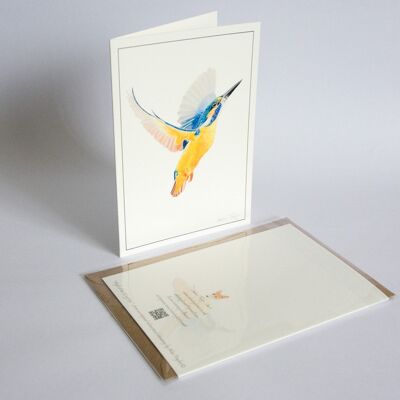 Kingfisher - Greeting Card - Best Wishes - blank inside card - birthday , A5 folded to A6