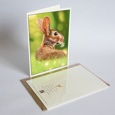 Rabbit - Greeting Card - Best Wishes - blank inside card - birthday , A5 folded to A6