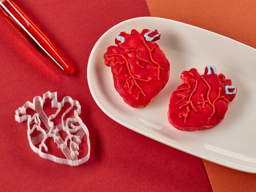 Keksausstecher - Anatomie - Herz