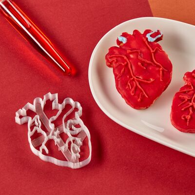 Cortador de galletas - Anatomía - Corazón