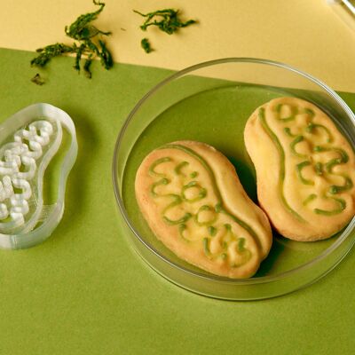 Cookie Cutter - Microbiology - Mitochondrion
