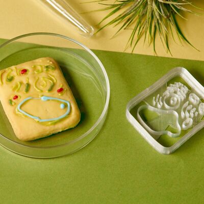 Cookie Cutter - Microbiologia - Cellula vegetale