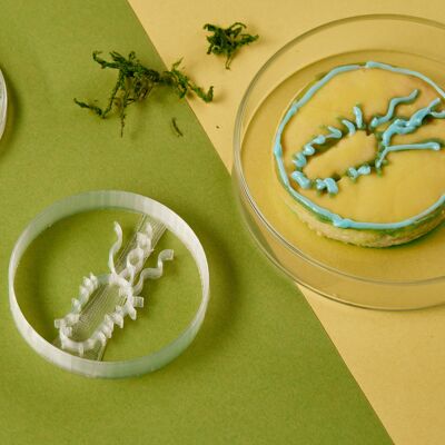 Cortador de galletas - Microbiología - Bacteria