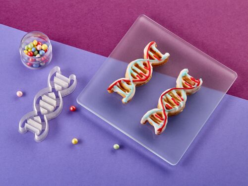 Keksausstecher - Labor - DNA