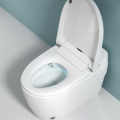 Smart Intelligent Bidet Toilet with inner tank