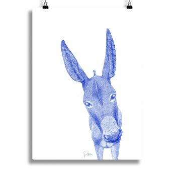 Donkey Silkscreen / Blue 50x70cm 2