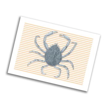 Spider Crab Postcard 2