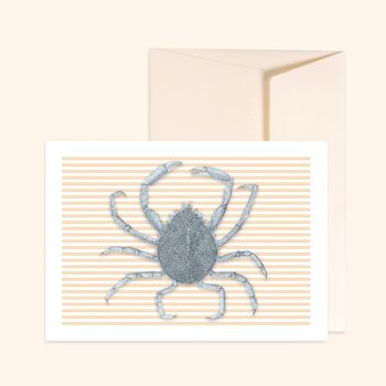 Spider Crab Postcard 1