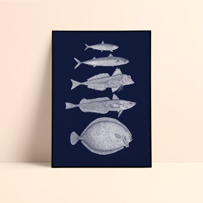 Fish / Blue silkscreen