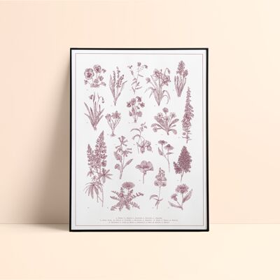 Silkscreen Herbarium 30x40cm/ Lilac