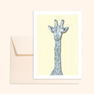 Great Giraffe Postcard