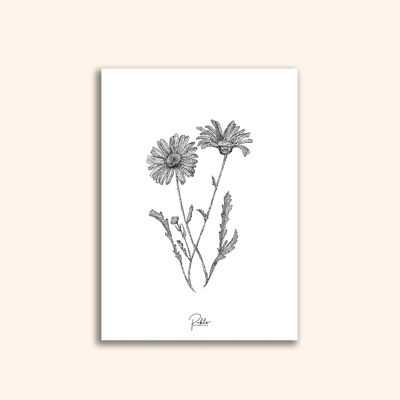 Floral card to frame "Daisies"
