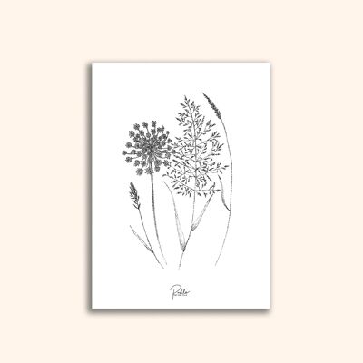 Tarjeta floral para enmarcar "Flores de los Campos"