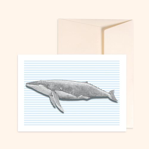 Big Whale Postcard