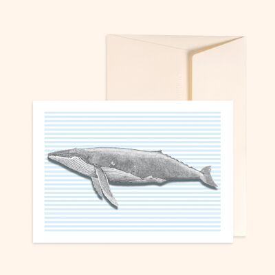 Cartolina della grande balena