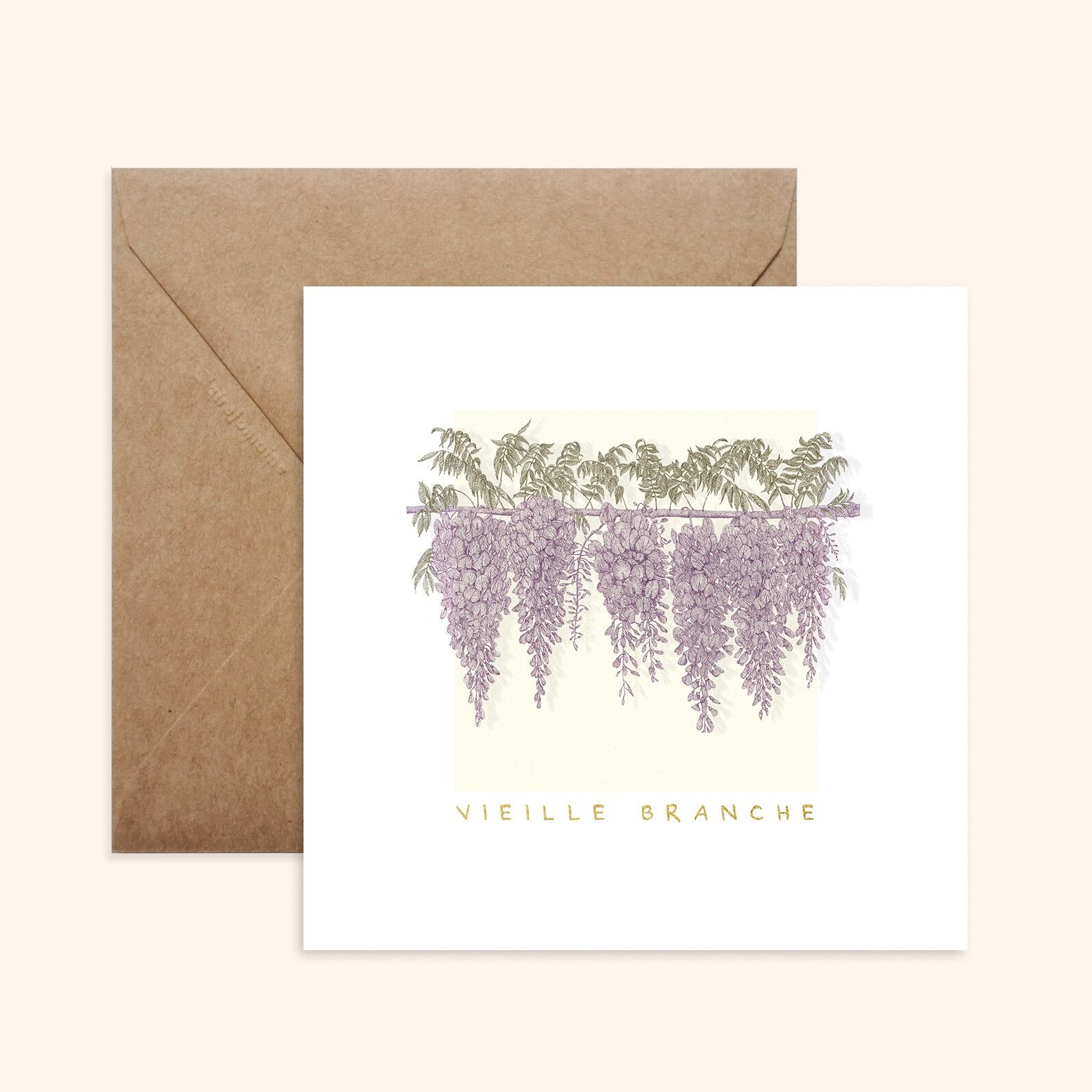 Cartolina illustrata – Made in Brittany – Formato standard – Old Branch – Illustrazione di glicine