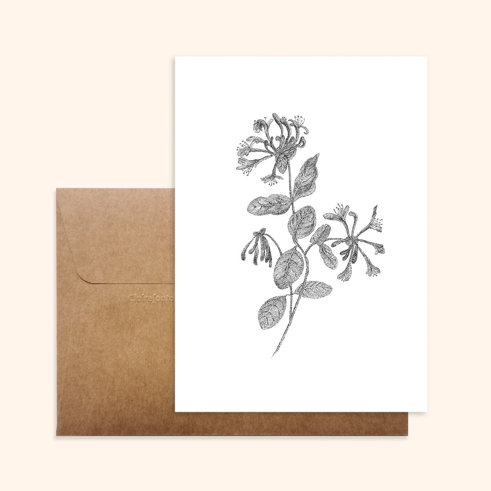 Postal ilustrada – Fabricada en Bretaña – Formato estándar – Madreselva – Blanco y negro