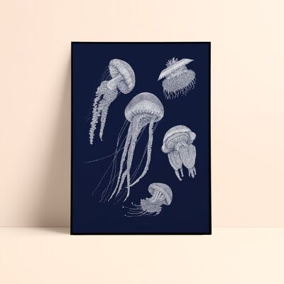 Jellyfish Silkscreen / 50x70cm - Midnight Blue