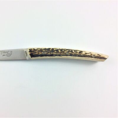 Full handle Le Thiers Pote knife 12 cm - Deer antler