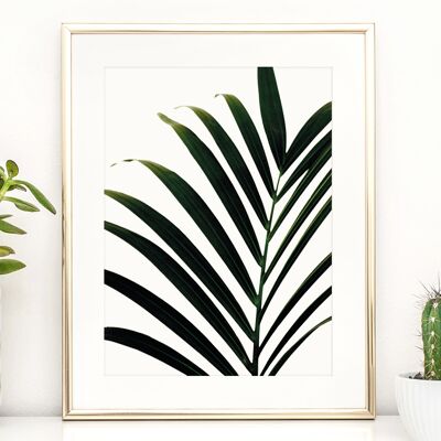 Affiche 'Feuille de palmier' - DIN A4