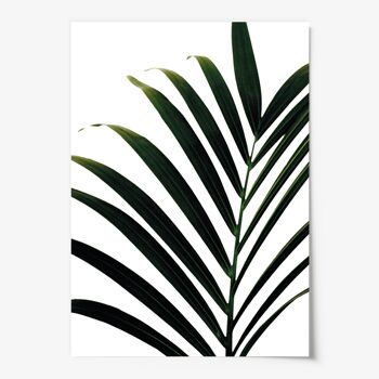 Affiche 'Feuille de palmier' - DIN A4 3