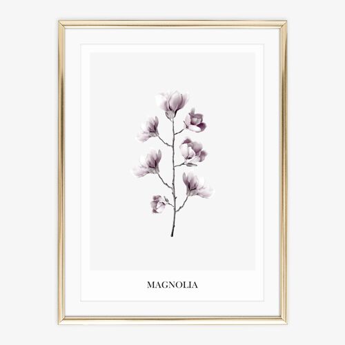Poster 'Magnolia' - DIN A4