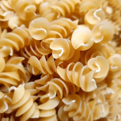 FUSILLI TRADITION with durum wheat BULK