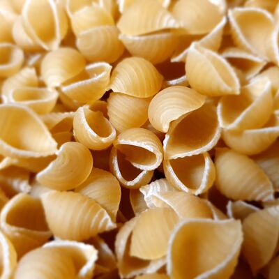 TRADICIÓN CONCHIGLIE con trigo duro 500G