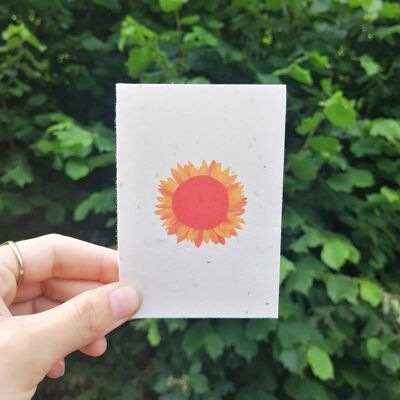 Sunflower - Plantable Card Mini
