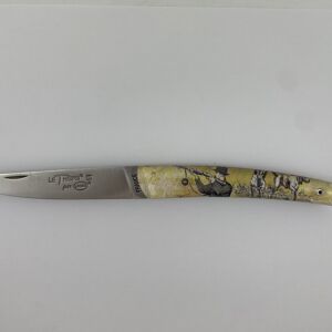 Couteau Le Thiers Pote plein manche 12 cm - Inclusion Scène de Chasse