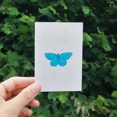Blue Butterfly - Plantable Card Mini