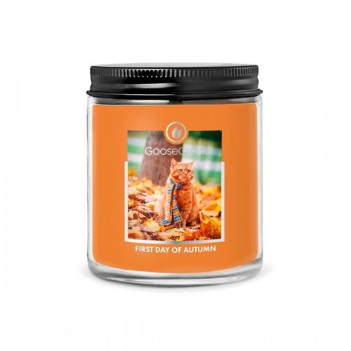 First Day Of Autumn Soy Wax Goose Creek Candle® 198 Grams 45 burning hours