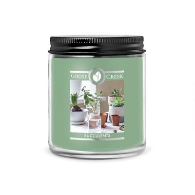 Succulente Cera di soia Goose Creek Candle® 198 grammi 45 ore di combustione