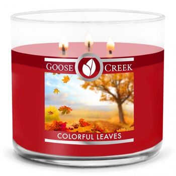 Bougie Goose Creek Feuilles Colorées®411 grammes Collection 3 mèches 1