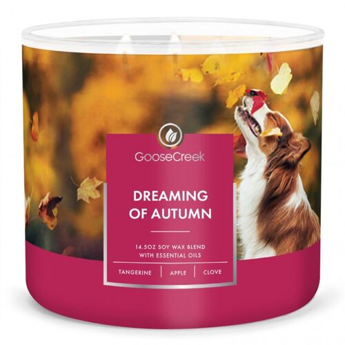 Dreaming of Autumn Goose Creek Candle® 411 grams 3 wick Collection