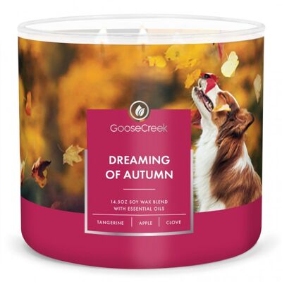 Dreaming of Autumn Goose Creek Candle® 411 grammi Collezione 3 stoppini