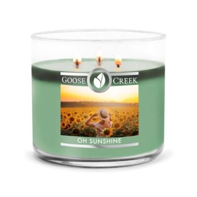 Oh Sunshine Goose Creek Candle® 411 Gramm