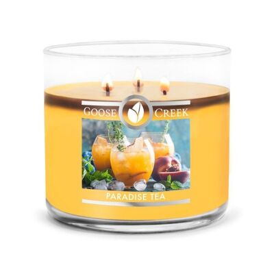 Paradise Tea 3 Wick Tumbler Double scent release!