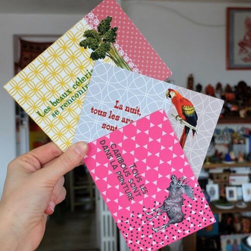 Lot de 3 cartes humoristiques / Jeux de mots / Proverbes et animaux