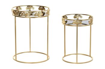 TABLE D'APPOINT SET 2 METAL VERRE 40X40X56 FEUILLE MB194493 1
