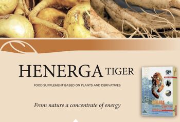 Henerga Tiger - Énergie immédiate 1