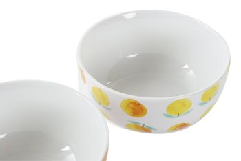 BOL PORCELAINE 13.5X13.5X6.5 FRUITS 3 ASSORTIMENTS. PC193634 2