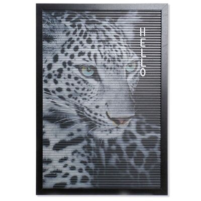 MEMO PP 30X2X45 WILD BLACK RC164048