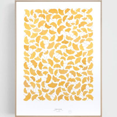 Ginkgo amarillo 60x80cm - marco de madera