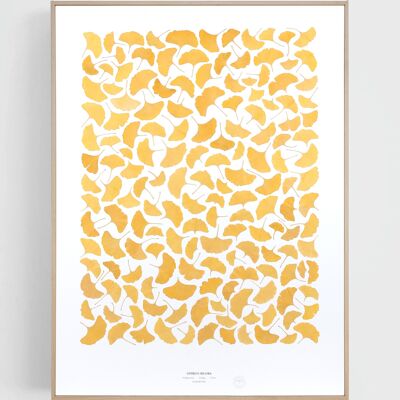 Yellow ginkgo 60x80cm - wooden frame